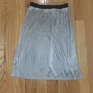 3. NWOT ENZA COSTA SILVER PLEATED SKIRT SIZE 0